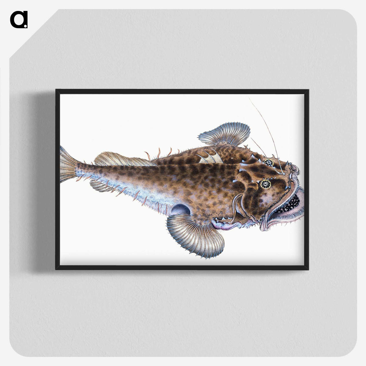 1-74_The-Natural-History-of-British-Fishes_blk-crop