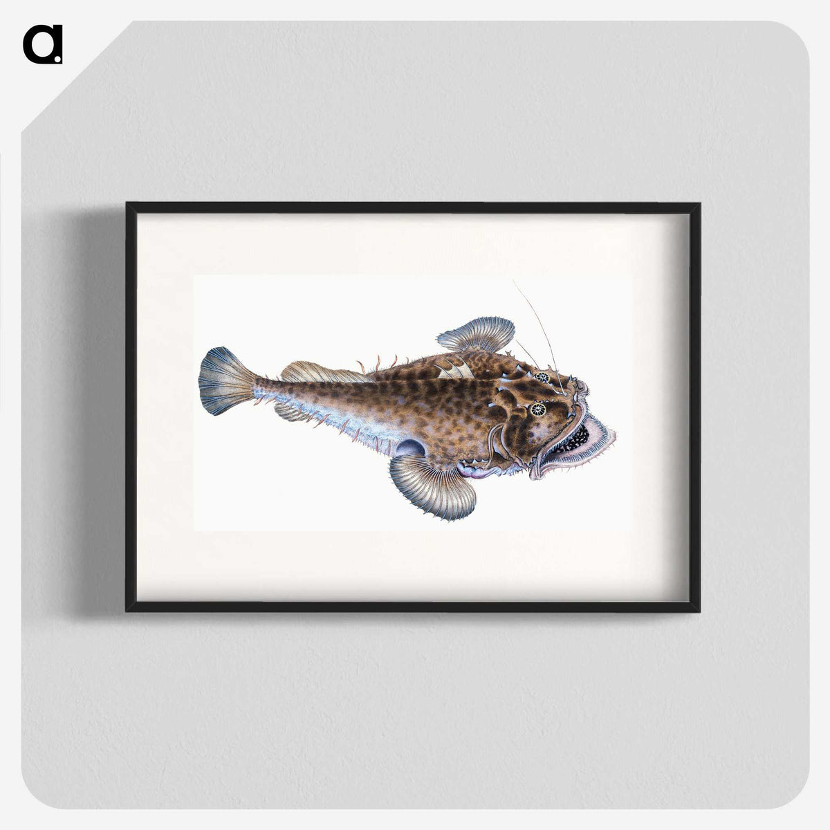1-74_The-Natural-History-of-British-Fishes_blk