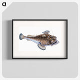 1-74_The-Natural-History-of-British-Fishes_blk