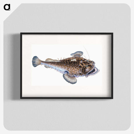 1-74_The-Natural-History-of-British-Fishes_blk