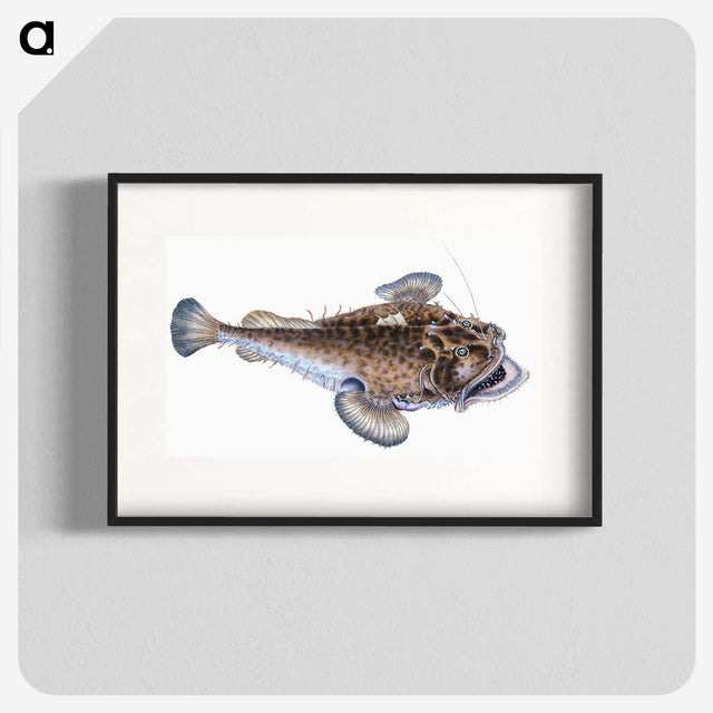 1-74_The-Natural-History-of-British-Fishes_blk