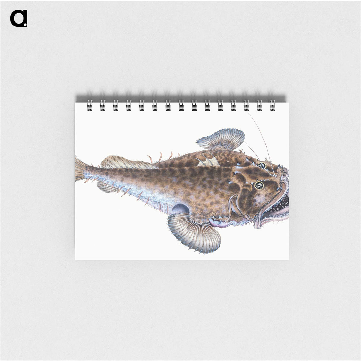 1-74_The-Natural-History-of-British-Fishes_memo