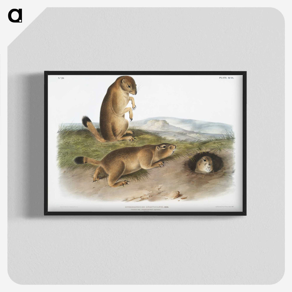 1-74_The-Viviparous-Quadrupeds_blk-crop