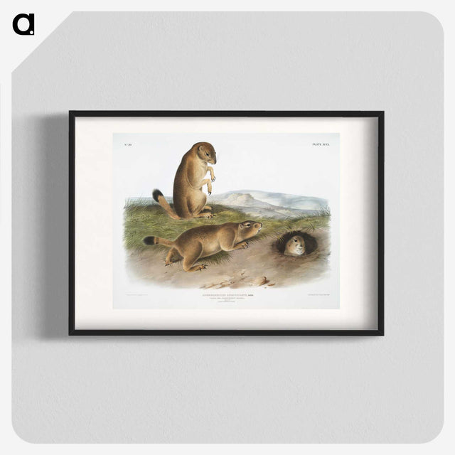 1-74_The-Viviparous-Quadrupeds_blk
