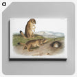 1-74_The-Viviparous-Quadrupeds_canvas
