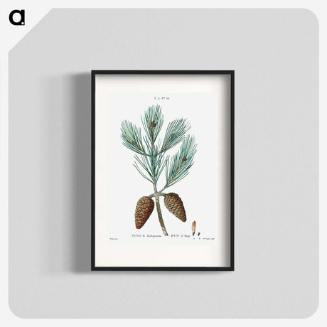 1-74_Treatise-on-Trees-and-Shrubs_blk