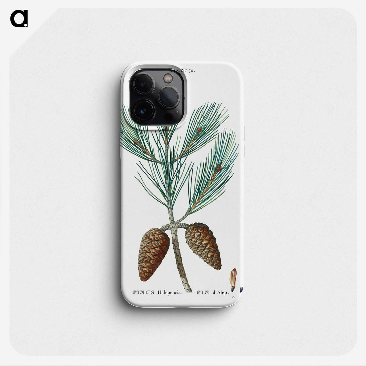1-74_Treatise-on-Trees-and-Shrubs_phone
