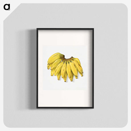 1-74_USDA-Watercolor-Fruit-Painting-Collection_blk