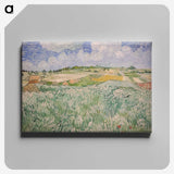1-74_Vincent-van-Gogh_canvas