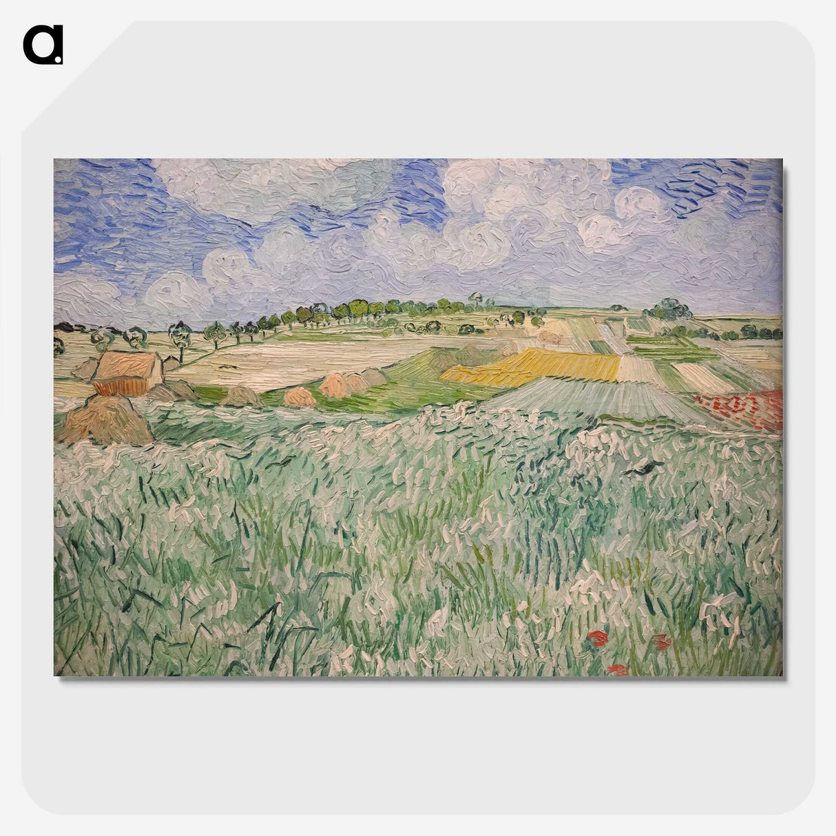 1-74_Vincent-van-Gogh_picture-crop