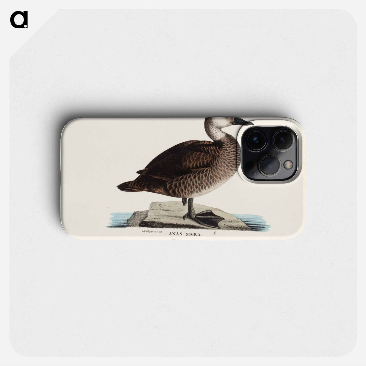 Black scoter, female, Wilhelm von Wright - ヴィルヘルム フォン ライト Phone Case.