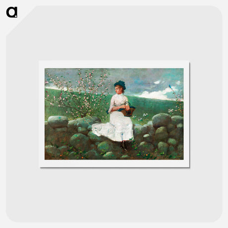 アートポストカード-Peach Blossoms - ウィンスロー ホーマー Postcard.