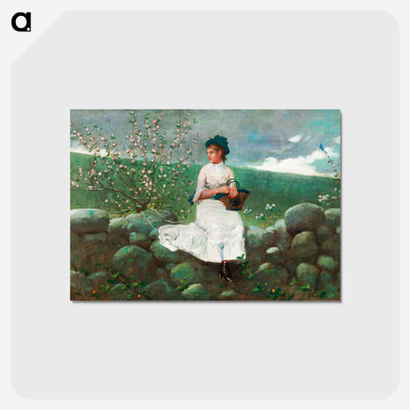 アートポストカード-Peach Blossoms - ウィンスロー ホーマー Postcard.