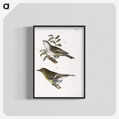 1-74_Zoology-of-New-York_blk-crop