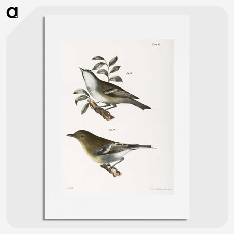 1-74_Zoology-of-New-York_picture