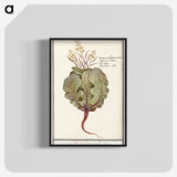1-75_Anselmus-Boetius-de-Boodt_blk-crop