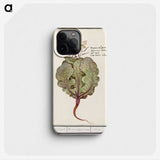 1-75_Anselmus-Boetius-de-Boodt_phone