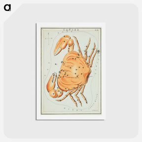 アートポストカード-Sidney Hall’s astronomical chart illustration of the cancer zodiac - アンティーク地図 Postcard.