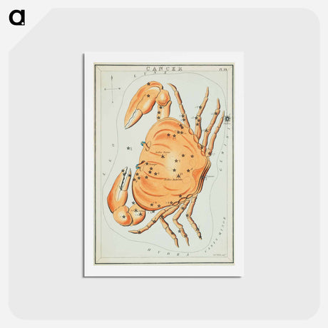 アートポストカード-Sidney Hall’s astronomical chart illustration of the cancer zodiac - アンティーク地図 Postcard.