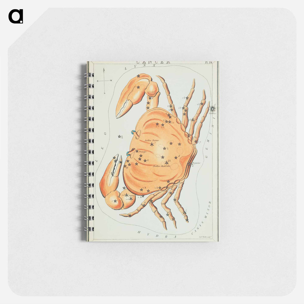 Sidney Hall’s astronomical chart illustration of the cancer zodiac - アンティーク地図 Memo.