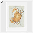 1-75_Antique-Maps_picture