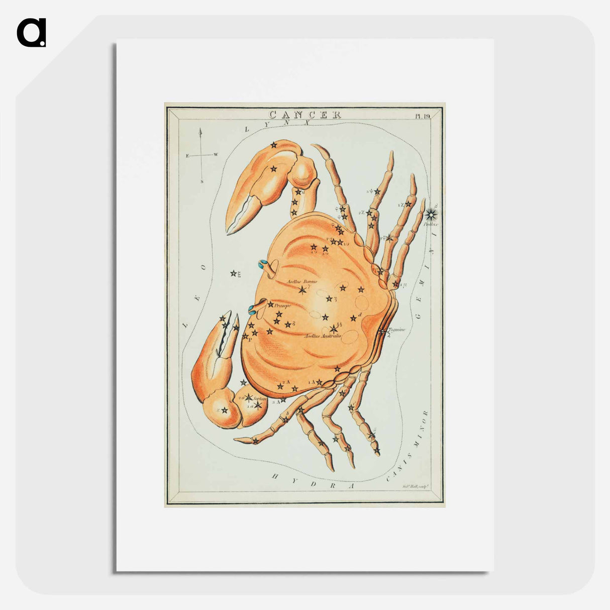 Sidney Hall’s astronomical chart illustration of the cancer zodiac - アンティーク地図 Poster.