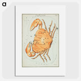 Sidney Hall’s astronomical chart illustration of the cancer zodiac - アンティーク地図 Poster.