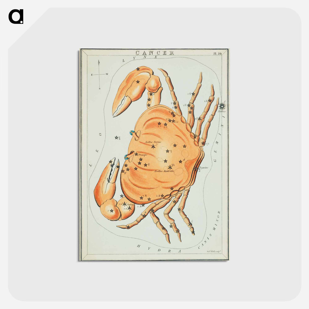 アートポストカード-Sidney Hall’s astronomical chart illustration of the cancer zodiac - アンティーク地図 Postcard.