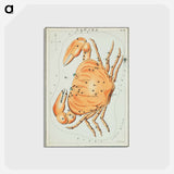 アートポストカード-Sidney Hall’s astronomical chart illustration of the cancer zodiac - アンティーク地図 Postcard.
