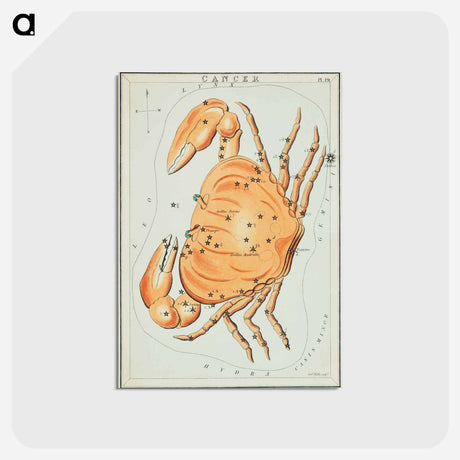 アートポストカード-Sidney Hall’s astronomical chart illustration of the cancer zodiac - アンティーク地図 Postcard.