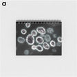 1-75_COVID-19_memo
