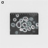 1-75_COVID-19_memo