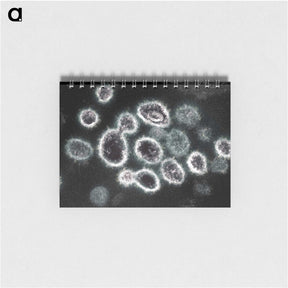 1-75_COVID-19_memo