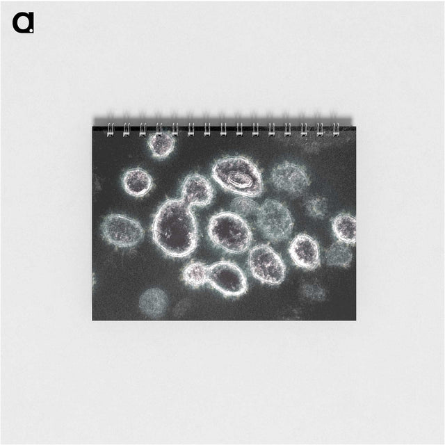 1-75_COVID-19_memo