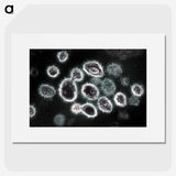1-75_COVID-19_picture