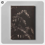 アートパネル-Cleveland Museum of Art
 - クリーブランド美術館 Canvas.