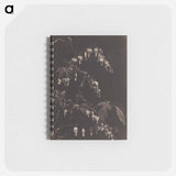 アートメモ帳-Cleveland Museum of Art
 - クリーブランド美術館 Memo.