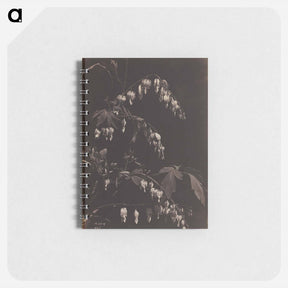アートメモ帳-Cleveland Museum of Art
 - クリーブランド美術館 Memo.