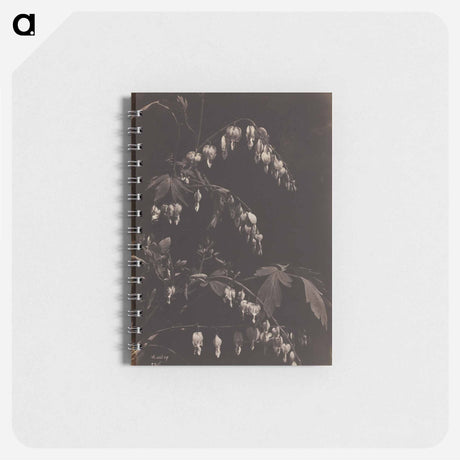 アートメモ帳-Cleveland Museum of Art
 - クリーブランド美術館 Memo.