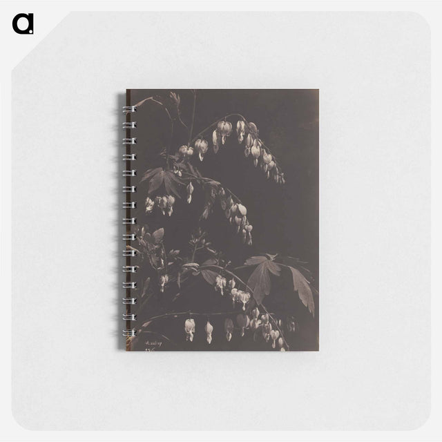 アートメモ帳-Cleveland Museum of Art
 - クリーブランド美術館 Memo.