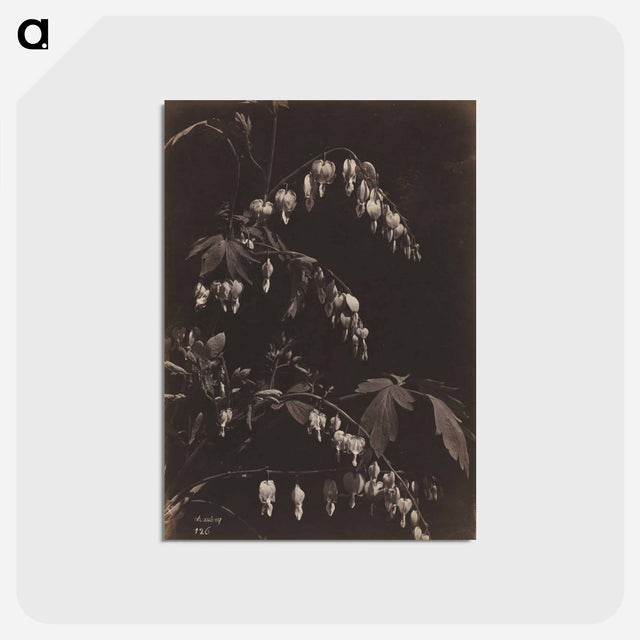 アートポストカード-Cleveland Museum of Art
 - クリーブランド美術館 Postcard.