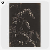 1-75_Cleveland-Museum-of-Art_picture-crop
