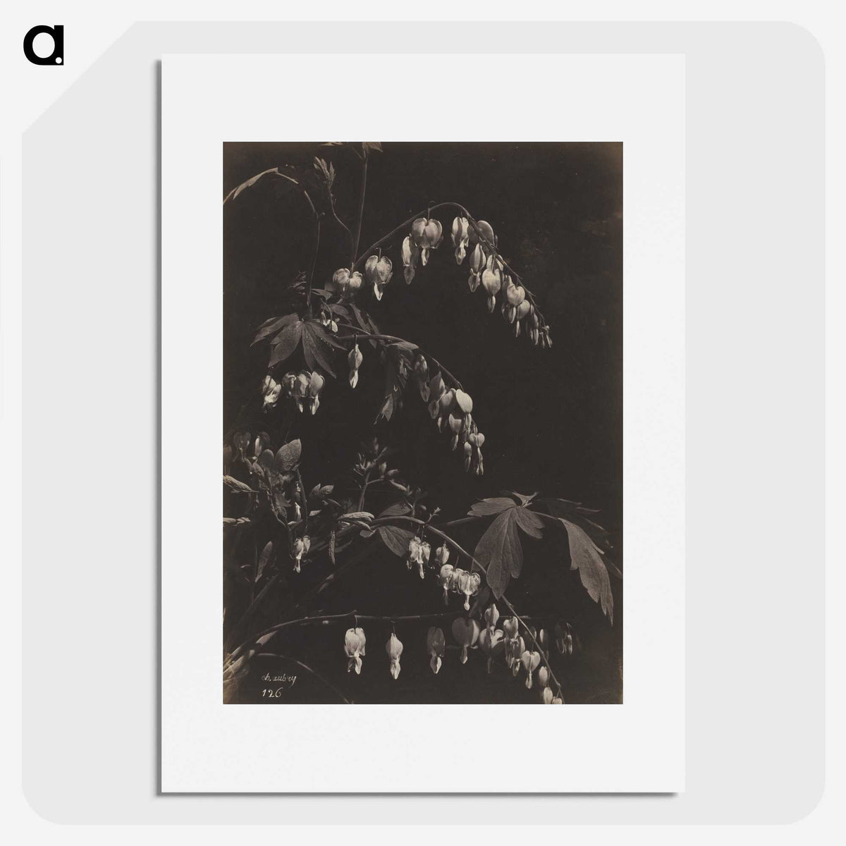 1-75_Cleveland-Museum-of-Art_picture