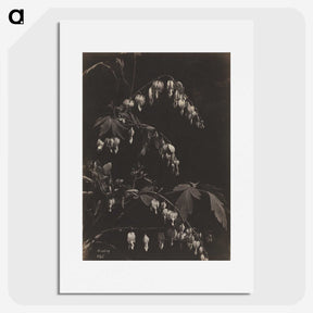 1-75_Cleveland-Museum-of-Art_picture