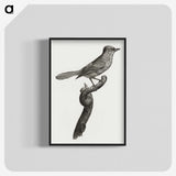 1-75_Des-Oiseaux-de-Paradis_blk-crop