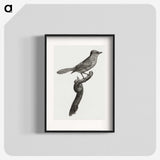 1-75_Des-Oiseaux-de-Paradis_blk