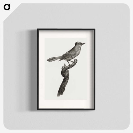 1-75_Des-Oiseaux-de-Paradis_blk