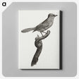 1-75_Des-Oiseaux-de-Paradis_canvas