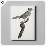 1-75_Des-Oiseaux-de-Paradis_canvas