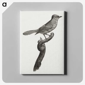 1-75_Des-Oiseaux-de-Paradis_canvas